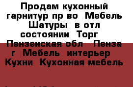 Продам кухонный гарнитур пр-во “Мебель Шатуры“ в отл.состоянии. Торг. - Пензенская обл., Пенза г. Мебель, интерьер » Кухни. Кухонная мебель   